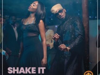 JAM : DBanj ft. Tiwa Savage – Shake It