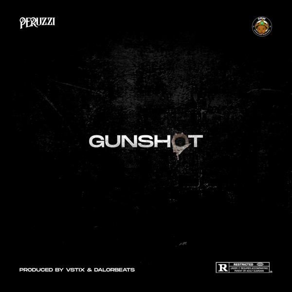 AUDIO : Peruzzi – Gunshot