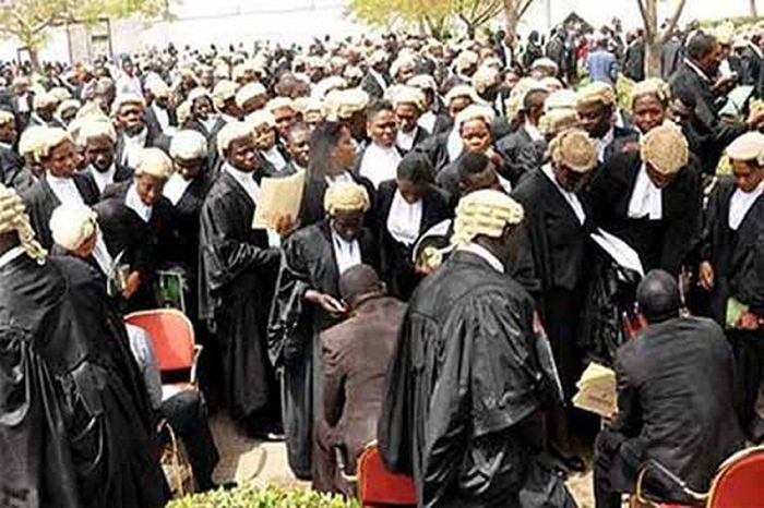 Nigerian Lawyers