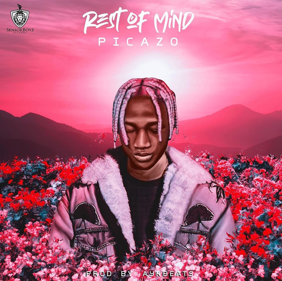Picazo - Rest Of Mind
