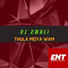 DJ Zwali – Thula Moya Wam (Gospel Gqom)