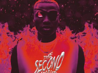 ALBUM : Ruger - The Second Wave ( The EP )
