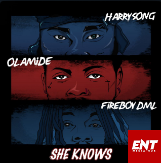 Harrysong Ft Olamide & Fireboy DML - She Knows
